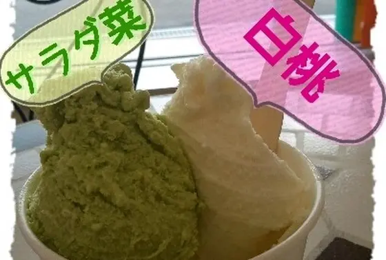 ジェラートもお見逃しなく！