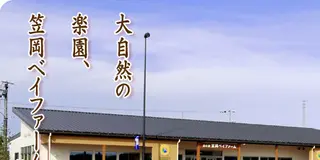 笠岡の花巡りスポット♪