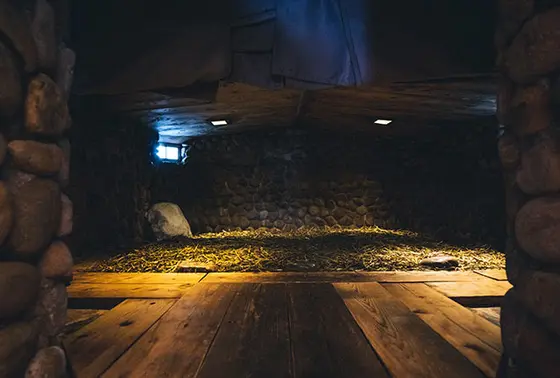 蒸し湯
