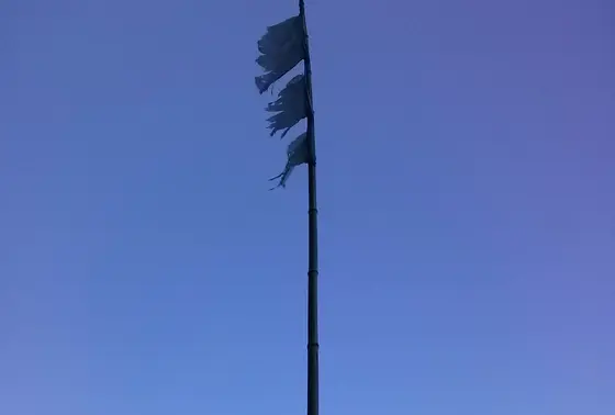 謎のフラグ。