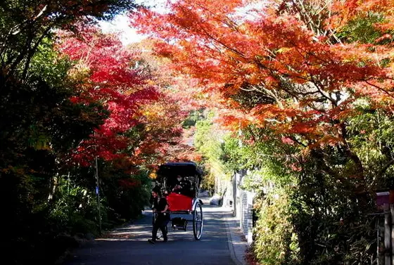 お寺に向かう道は絶好の紅葉スポット。