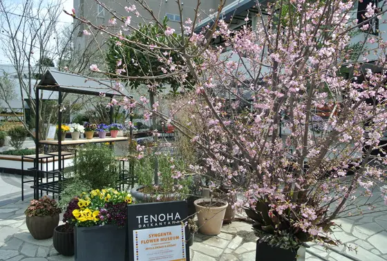 お店の前はお花でいっぱい