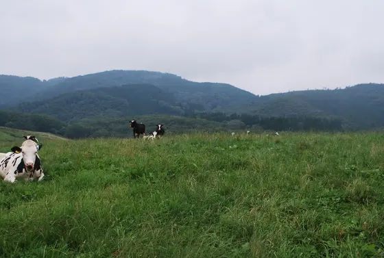 近くには俵原牧場