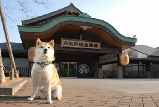 ワンちゃんの複合施設