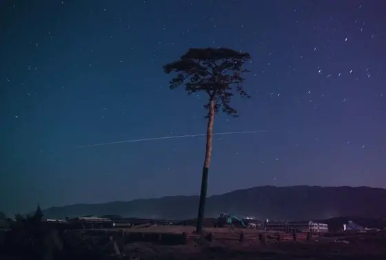 オススメは夜！
