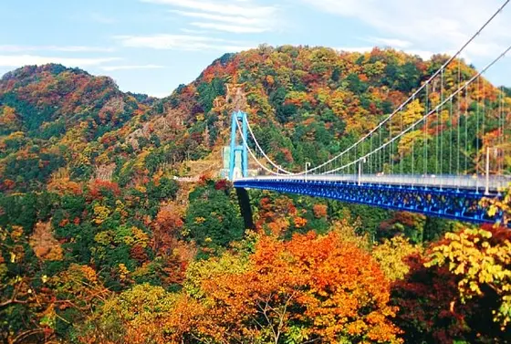 紅葉の吊り橋