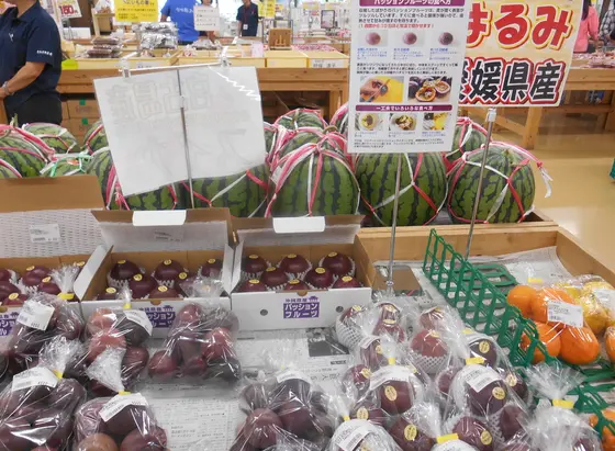 お土産