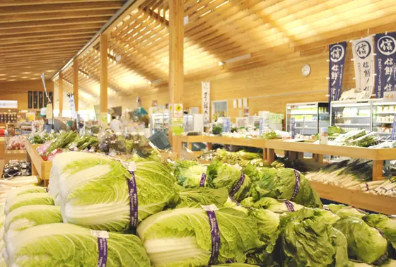 スポット内のおすすめ