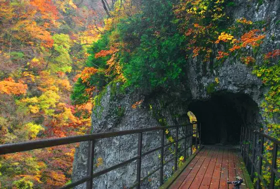 秋の様子🍂