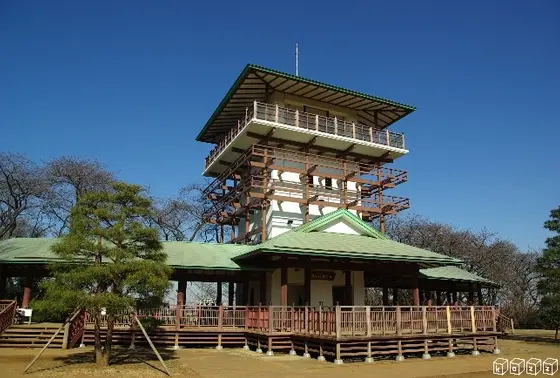 展望台もある