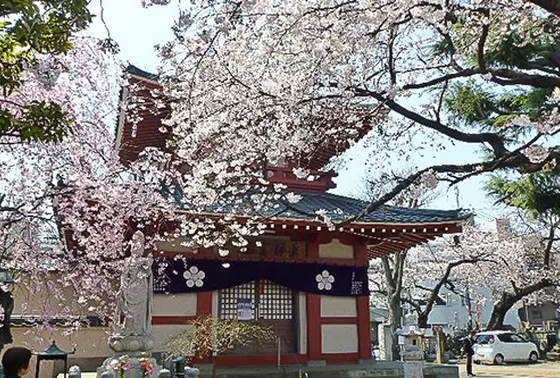 新井薬師公園1