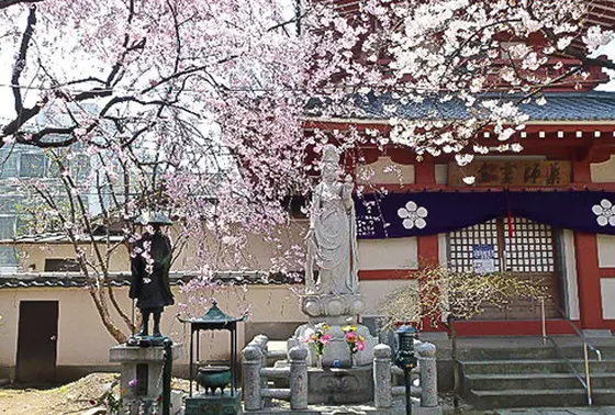 新井薬師公園4
