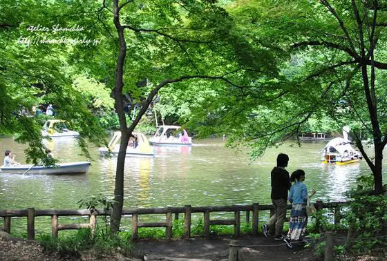 場所は井の頭公園内