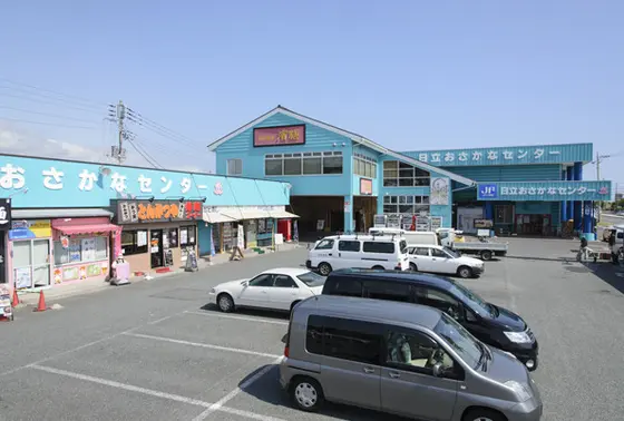 おさかなセンター