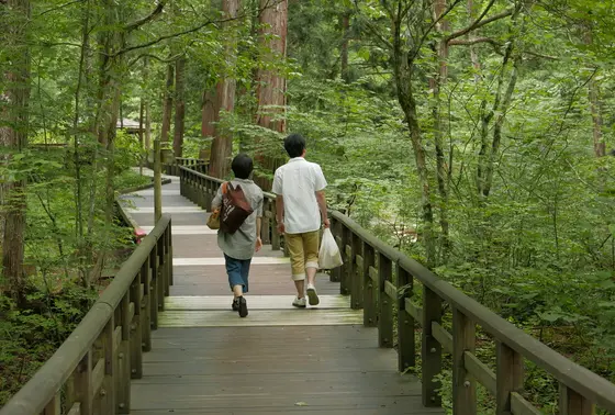 森林の遊歩道