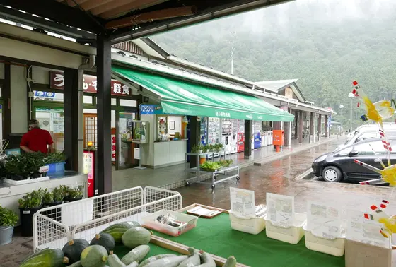 新鮮野菜がいっぱい