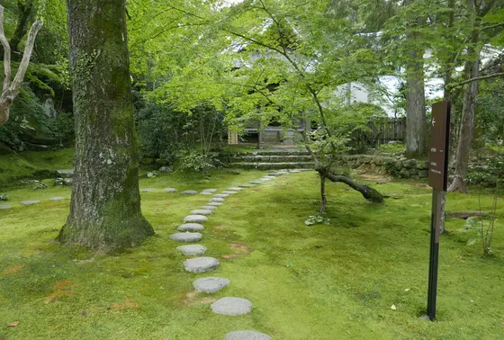 庭園が整備されています