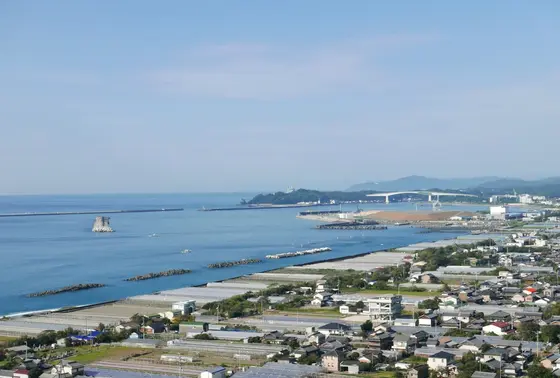 今日も快晴です
