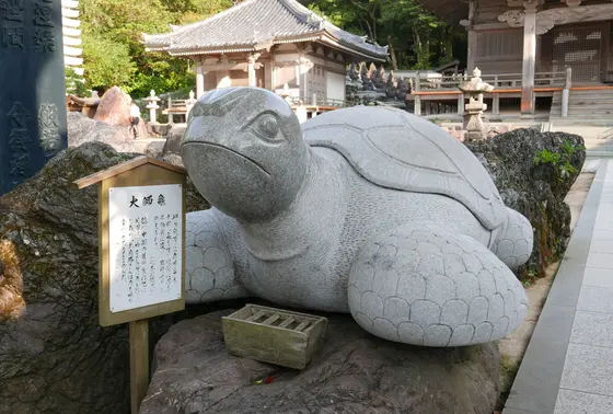 カメさんをお忘れなく