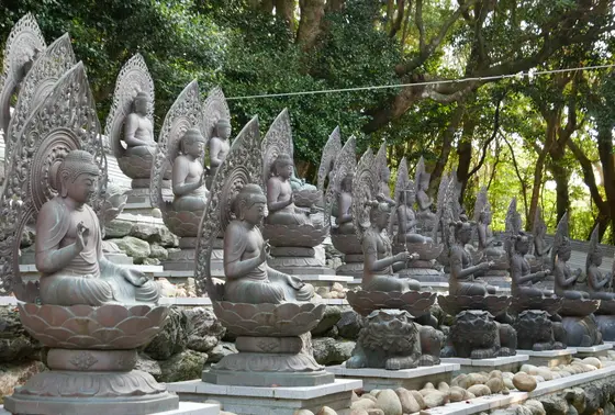 本堂裏側に観音様がずらり