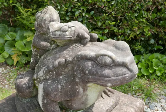 カエルさんがいます