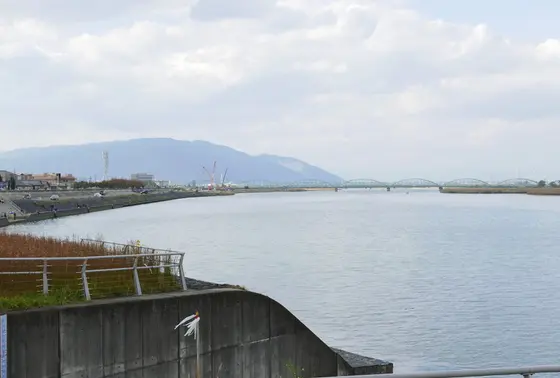 河口なので広いんです