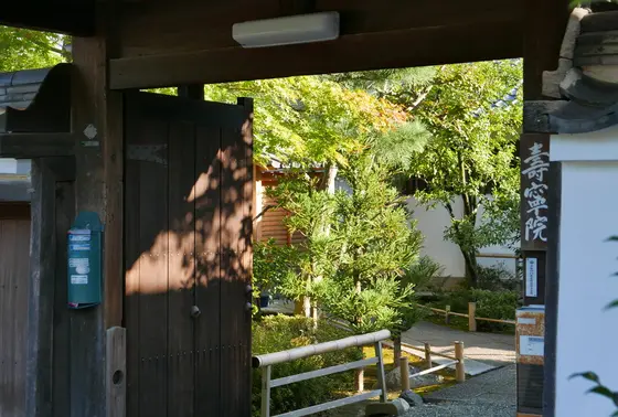 左右の建物の中にも紅葉が隠れています