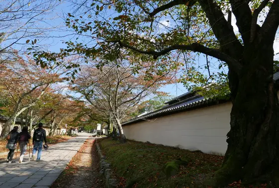 山門は通路を左へ