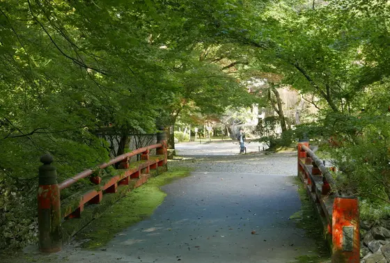 紅葉シーズンが最高