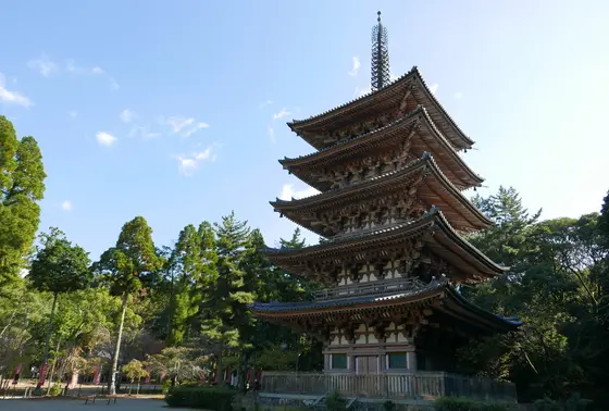 京都府市最古の木造？
