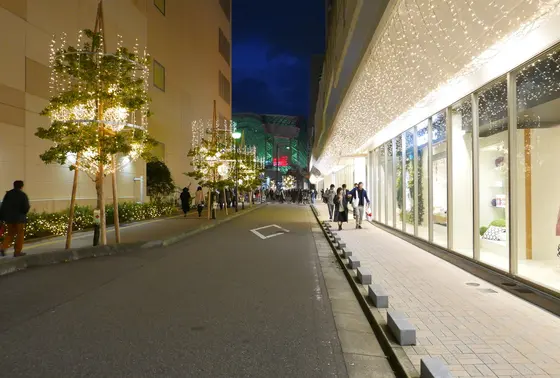 イルミもゴージャス