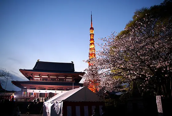本堂とタワーの２ショット
