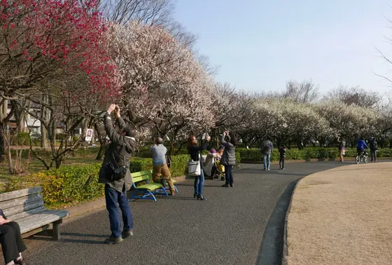 公園中央には芝生公園