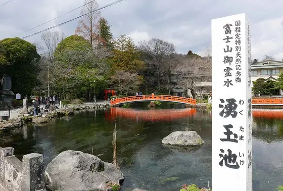 国指定天然記念物 湧玉池