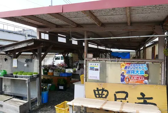 地元野菜の販売所