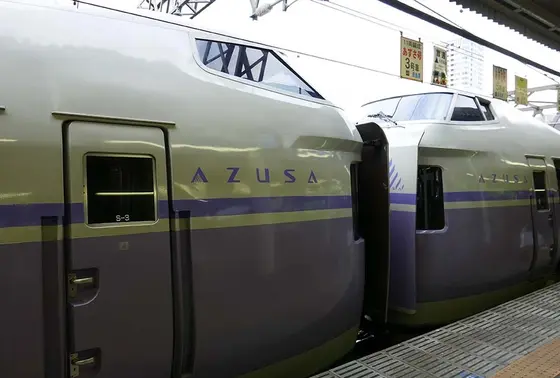 初めて間近に見るかも