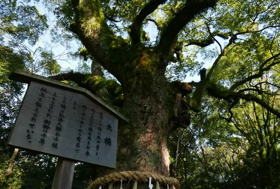 パワースポットらしいです