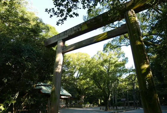 鳥居をくぐる度に気分高揚