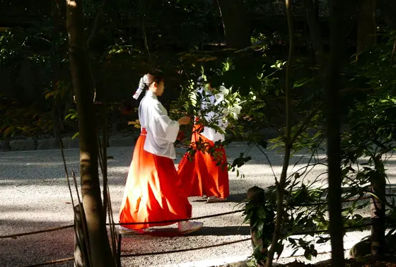 巫女さんですね