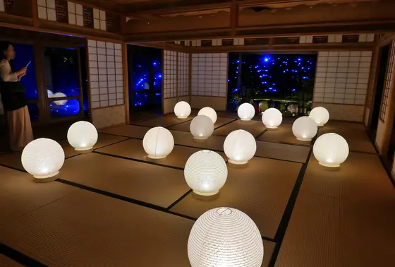 奥の茶室のそのまた奥には