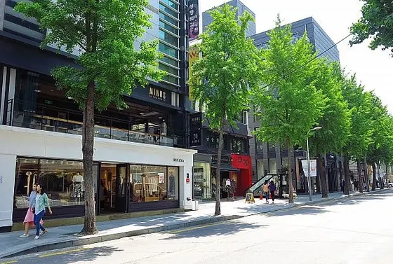 オシャレなお店がたくさん‼︎