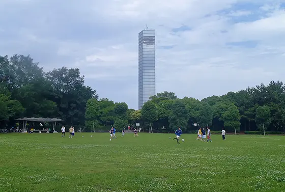 大きな公園