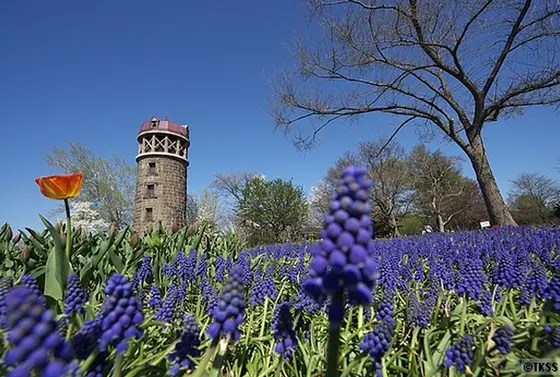 カメラ女子必見☆