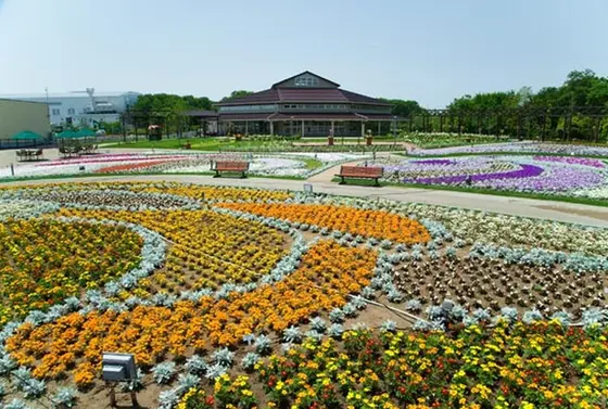 夢のようなお花畑！