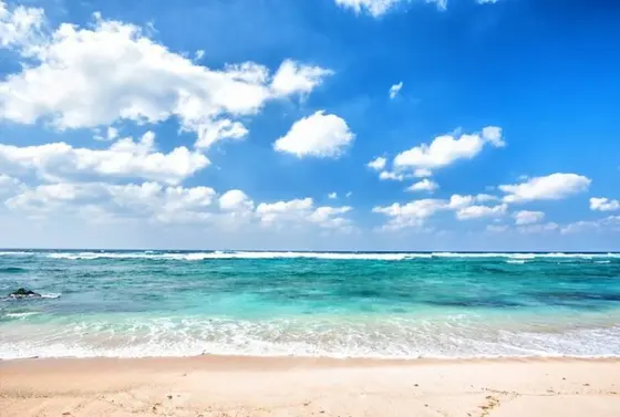 海がきれい！