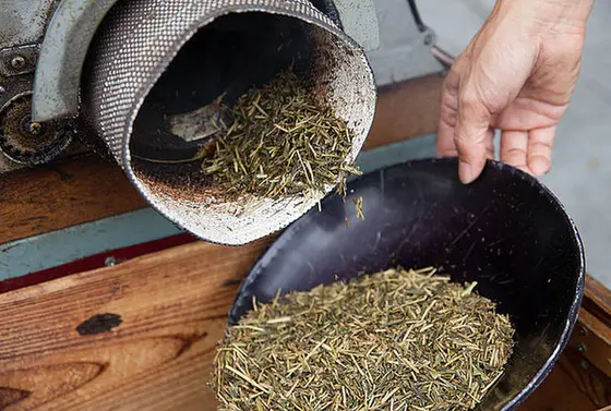 煎り立てのほうじ茶🍵