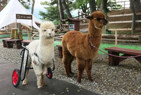 スポット内のおすすめ