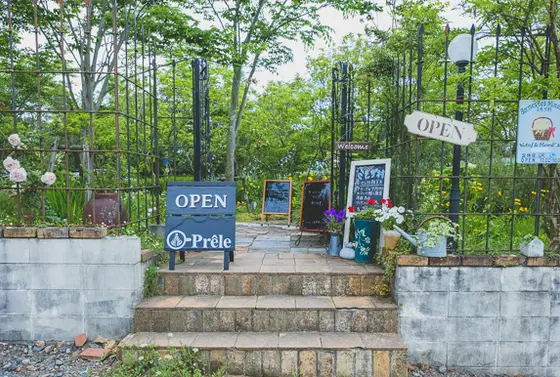 スポット内のおすすめ