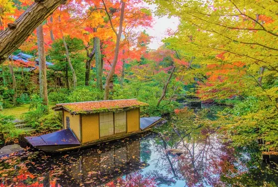 根津美術館庭園