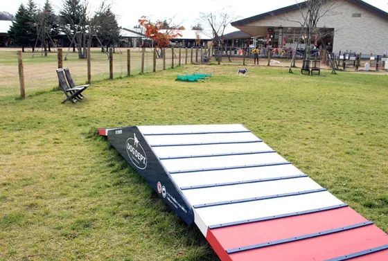 ドッグランฅ՞•ﻌ•՞ฅﾜﾝ♥